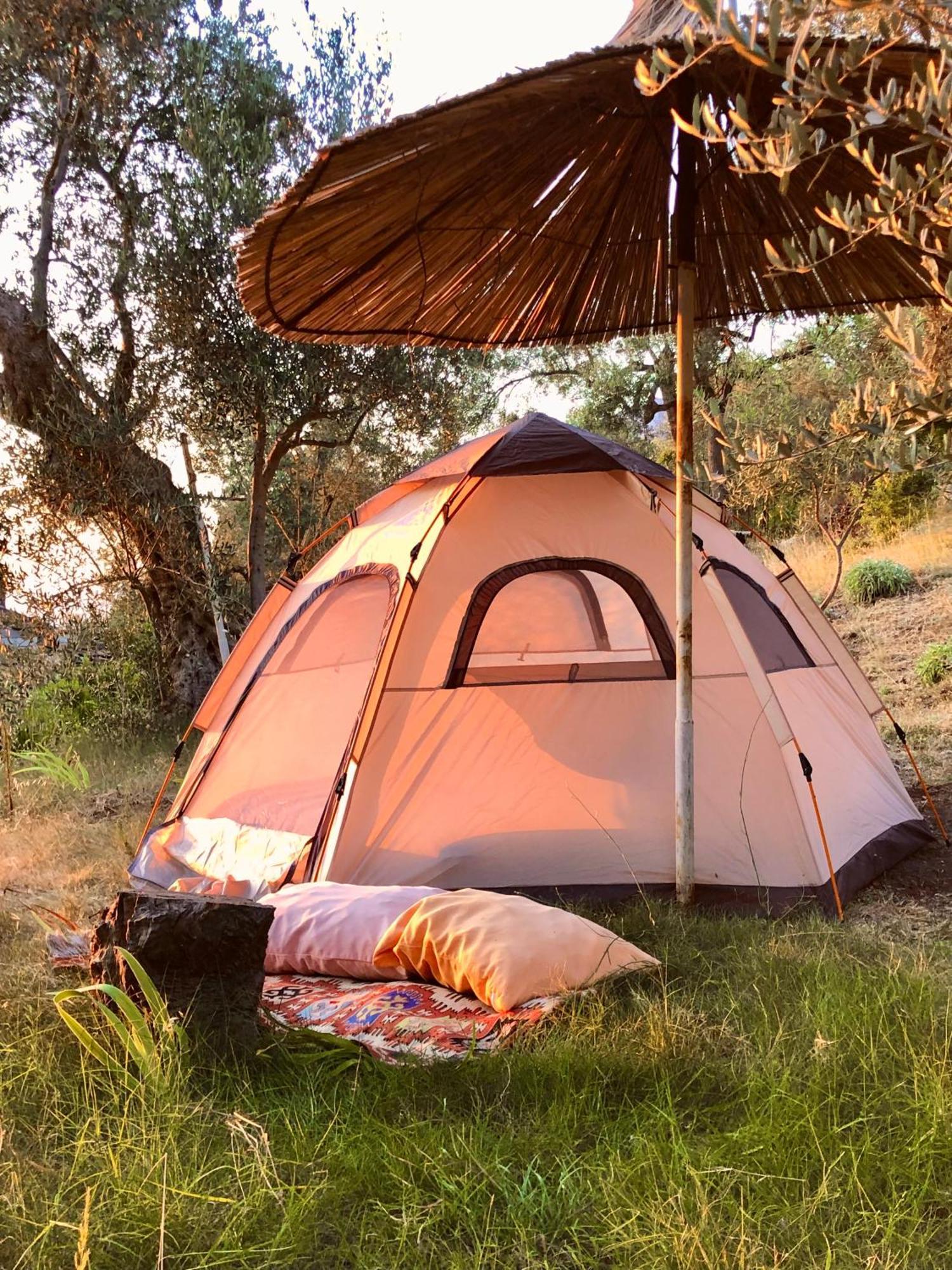 Kruje Camping * Krujë